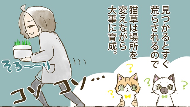 第５６話 吐き捨てられる運命 ねこ漫画 てーるているず